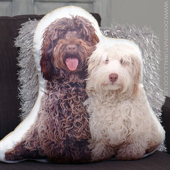 Adorable Dog Cushions